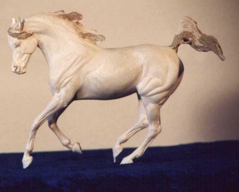 Arabian mare Tabanja